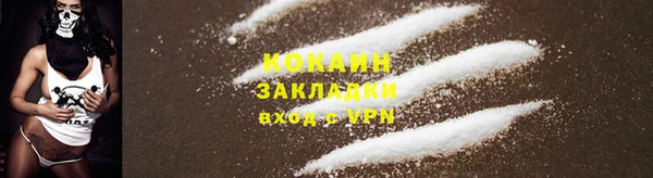 apvp Богородицк