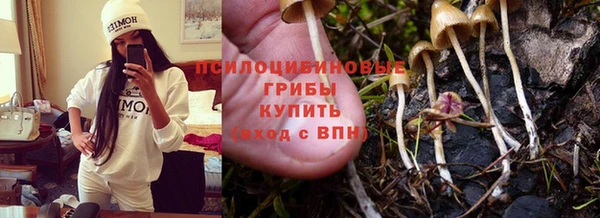 эйфоретик Богородск