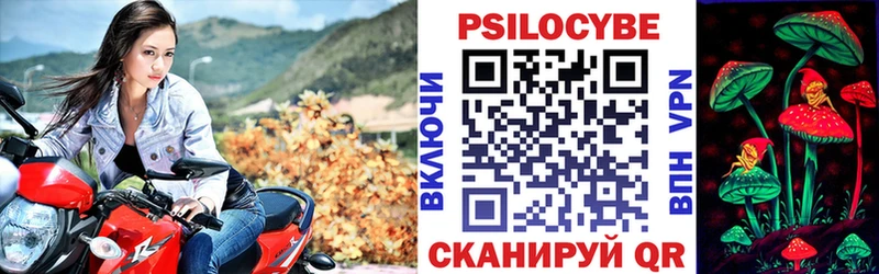 Галлюциногенные грибы Psilocybine cubensis  закладка  Верхняя Тура 